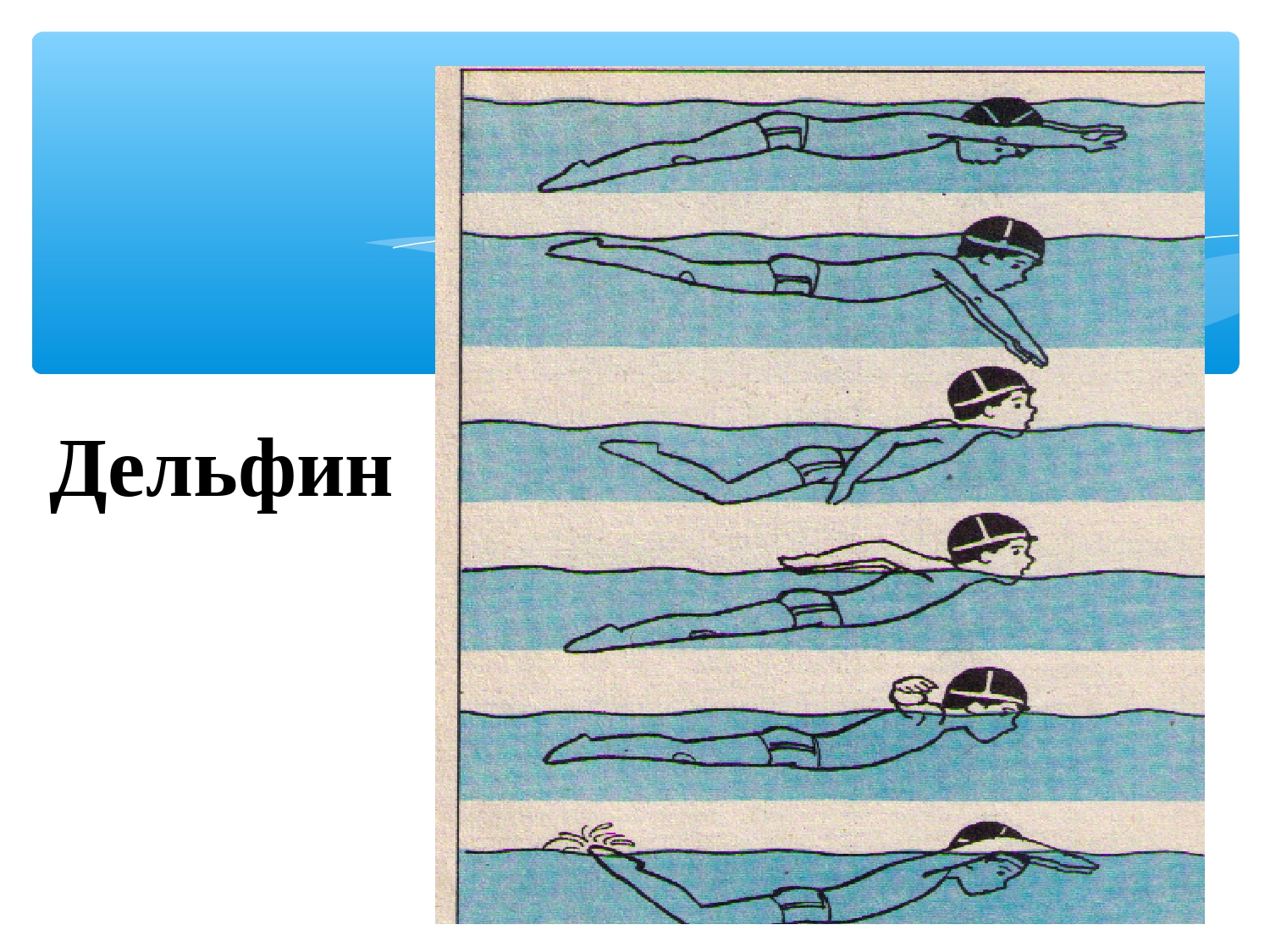 Стили плавания презентация